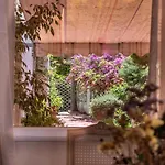 Case de vacanță Vasiliki's - Alykes