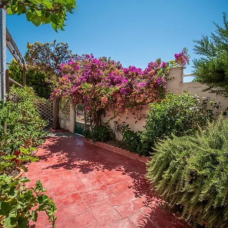 Vasiliki's - Alykes *