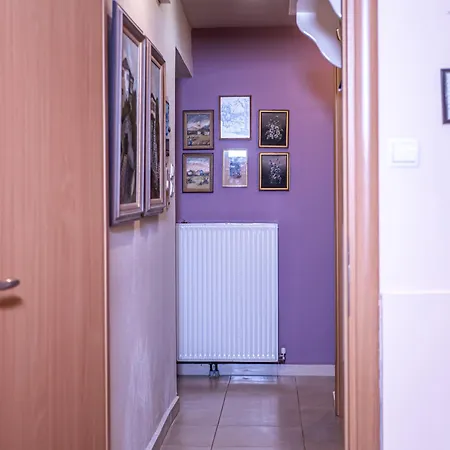 Vasiliki's - Alykes * Волос