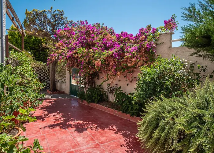 Vasiliki's - Alykes *